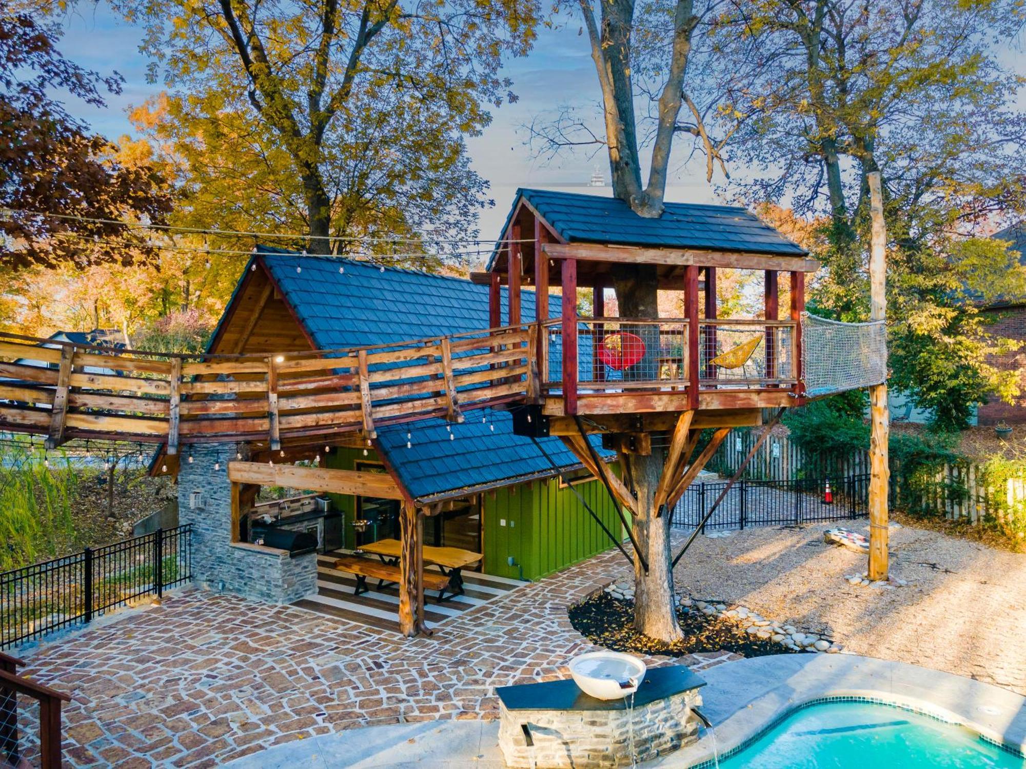 The Tree House In *
